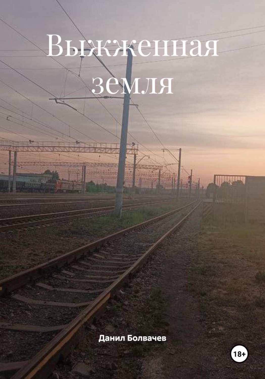 Обложка книги «Выжженная земля»