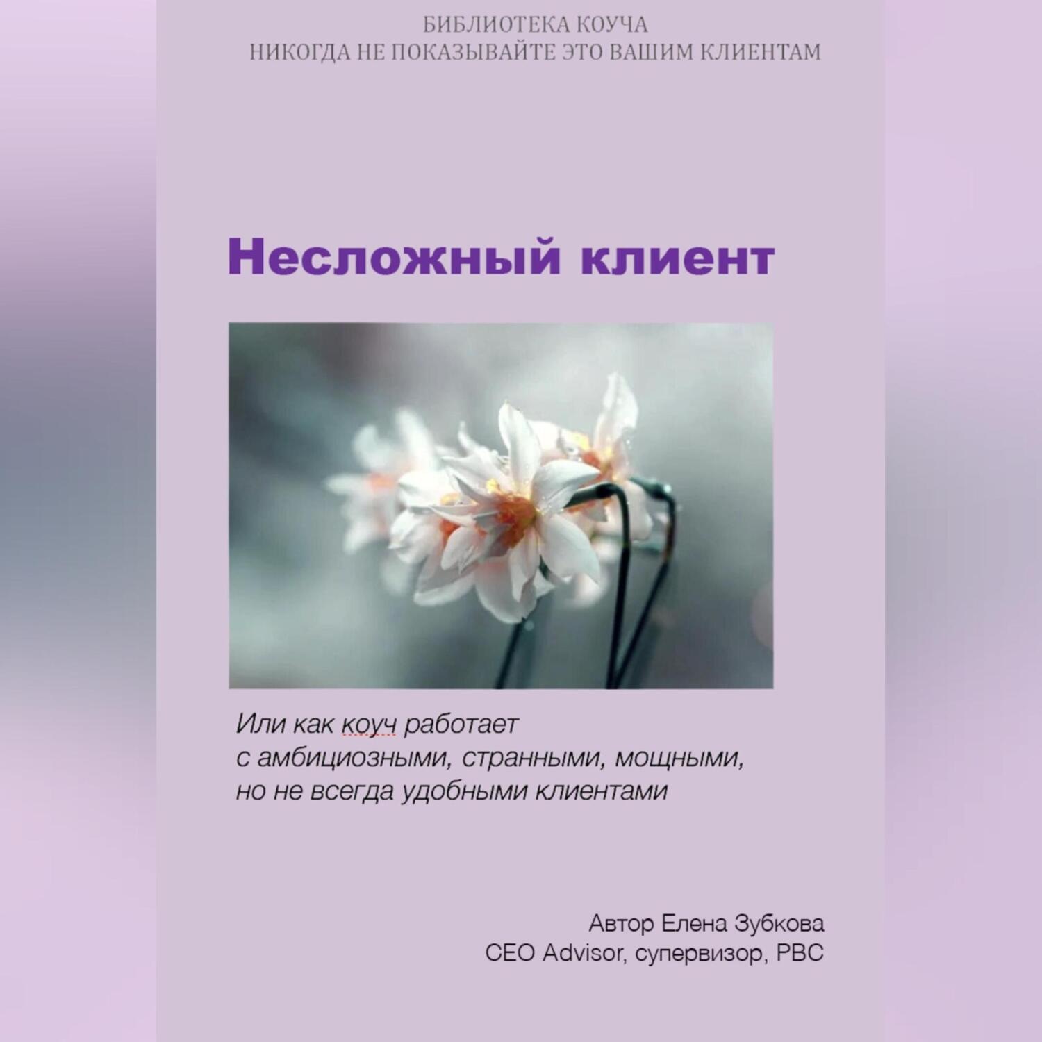 Обложка книги «Несложный клиент»