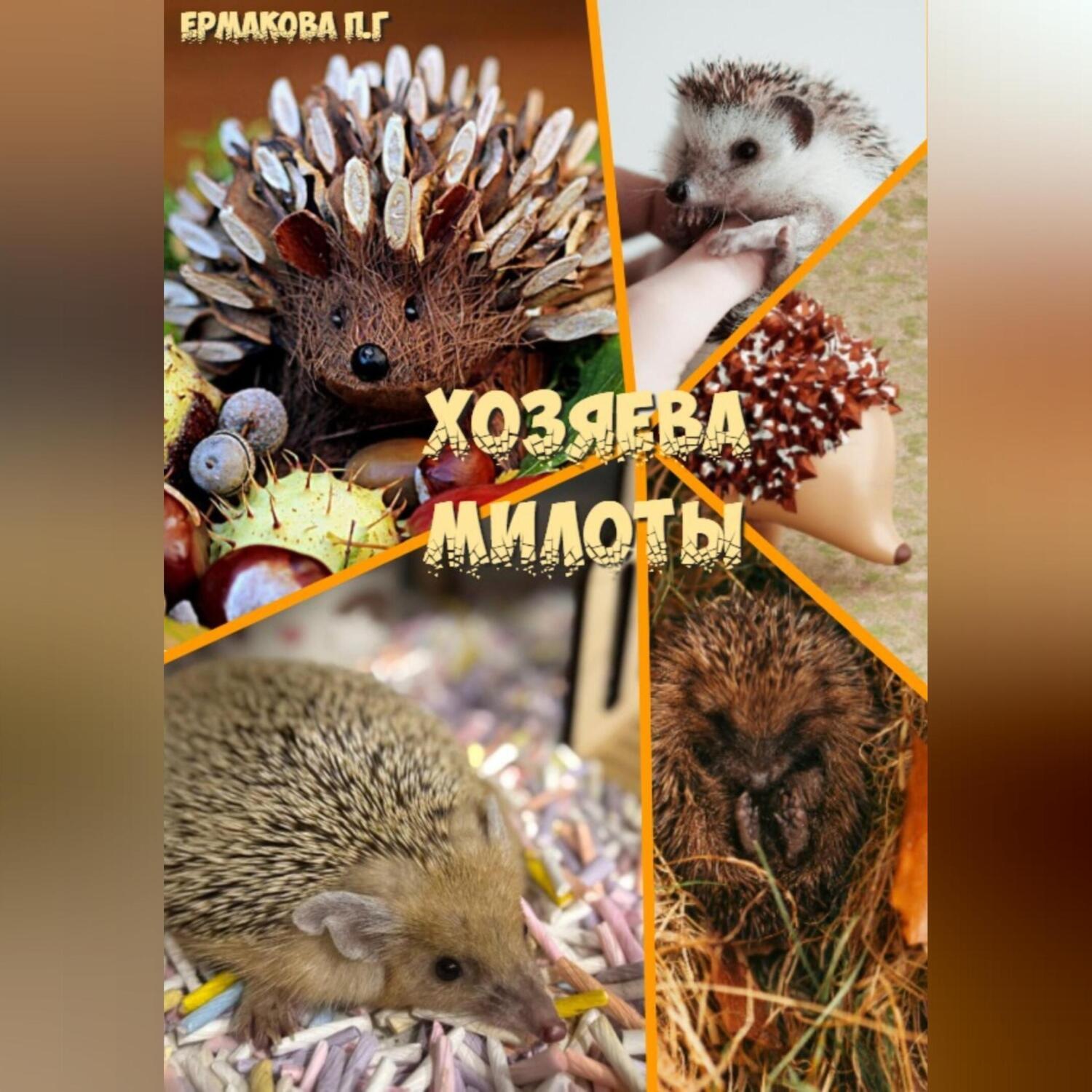 Обложка книги «Хозяева Милоты»