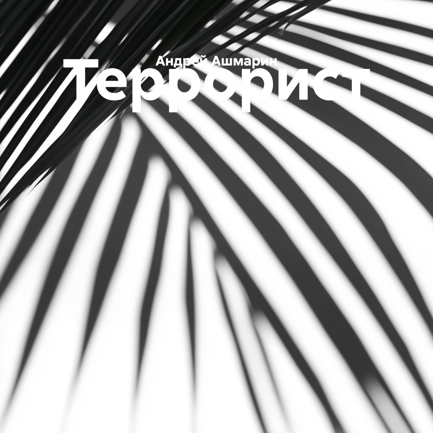 Обложка книги «Террорист»