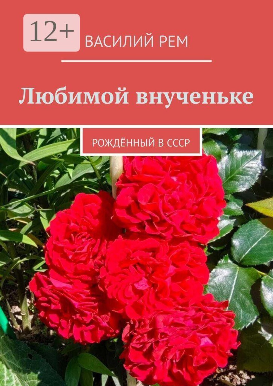 Обложка книги «Любимой внученьке. Рождённый в СССР»