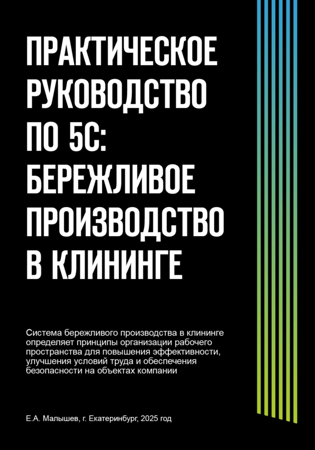 Обложка книги «Практическое руководство по 5С: бережливое производство в клининге»
