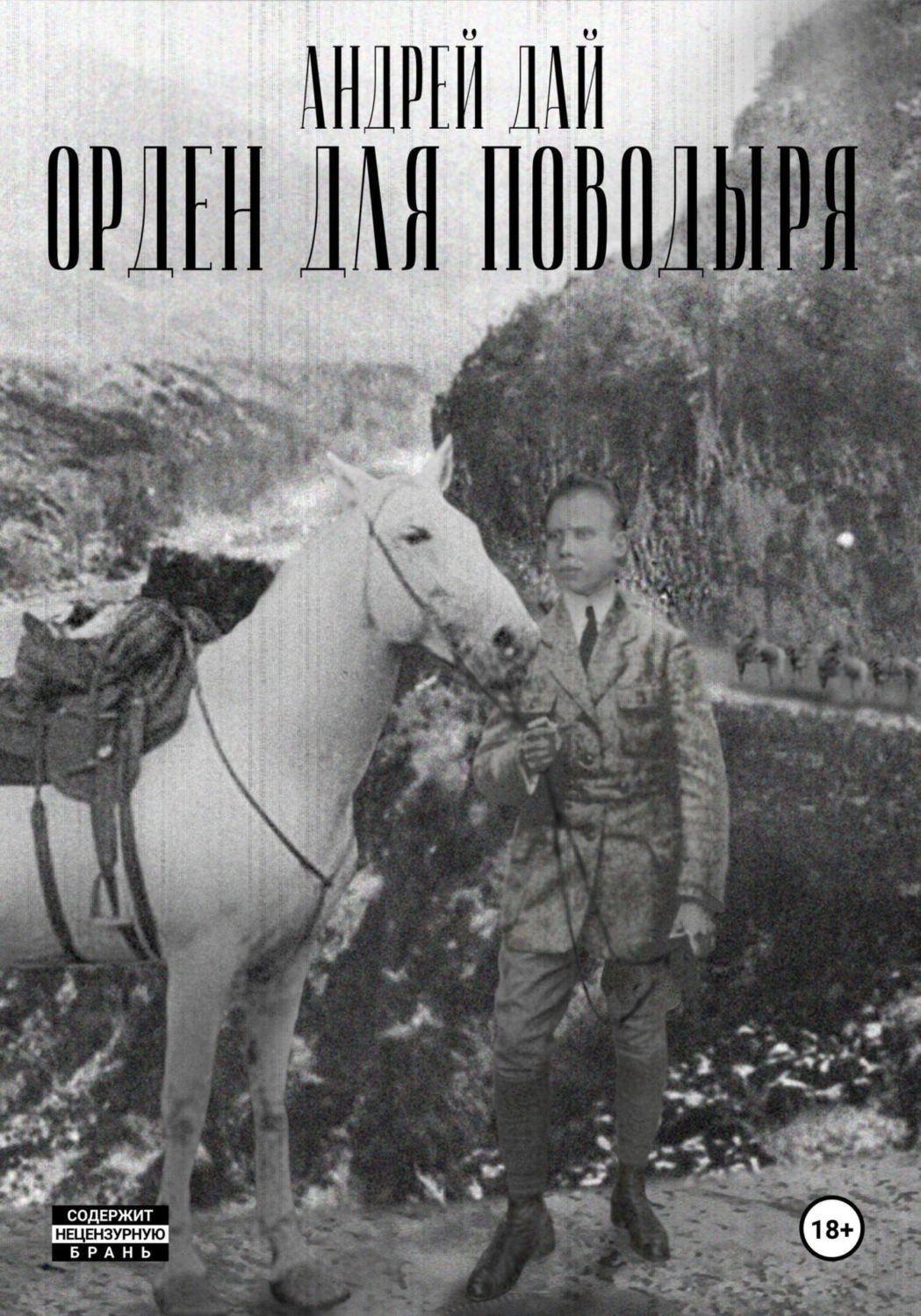 Обложка книги «Орден для Поводыря»