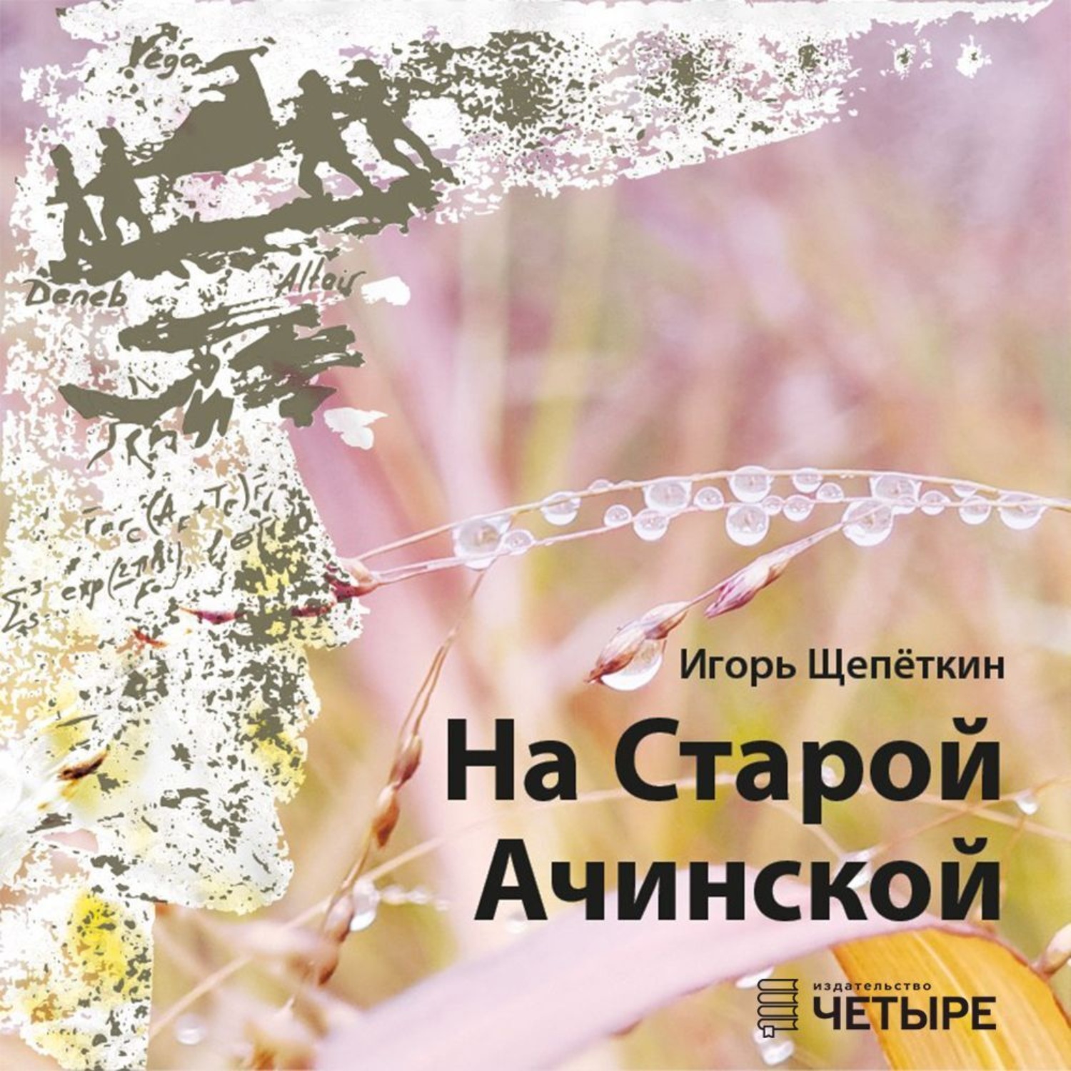 Обложка книги «На Старой Ачинской»