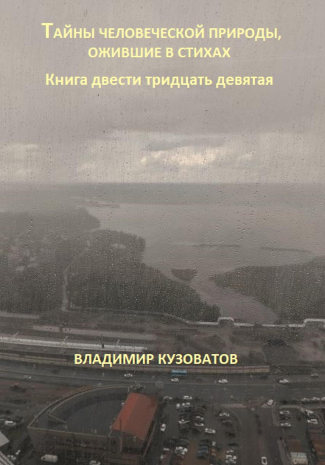 Обложка книги «Тайны человеческой природы, ожившие в стихах. Книга двести тридцать девятая»