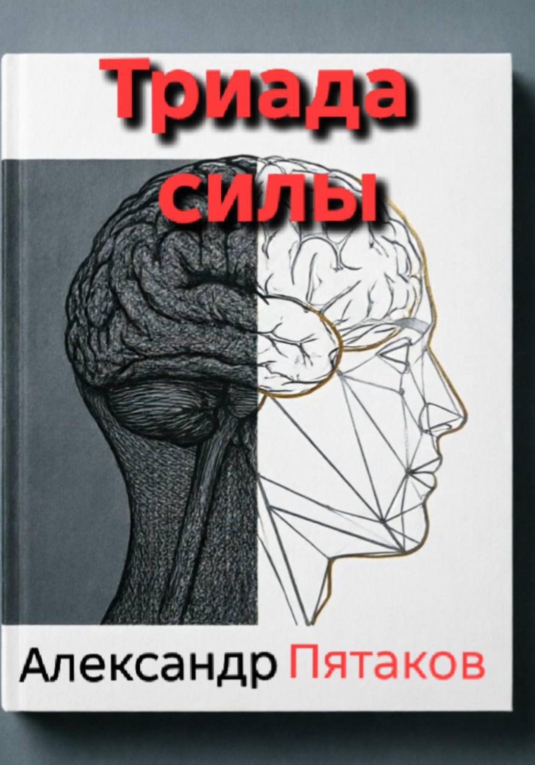 Обложка книги «Триада силы»