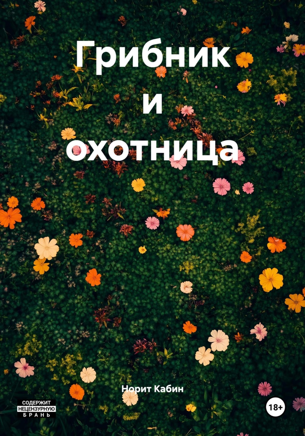 Обложка книги «Грибник и охотница»