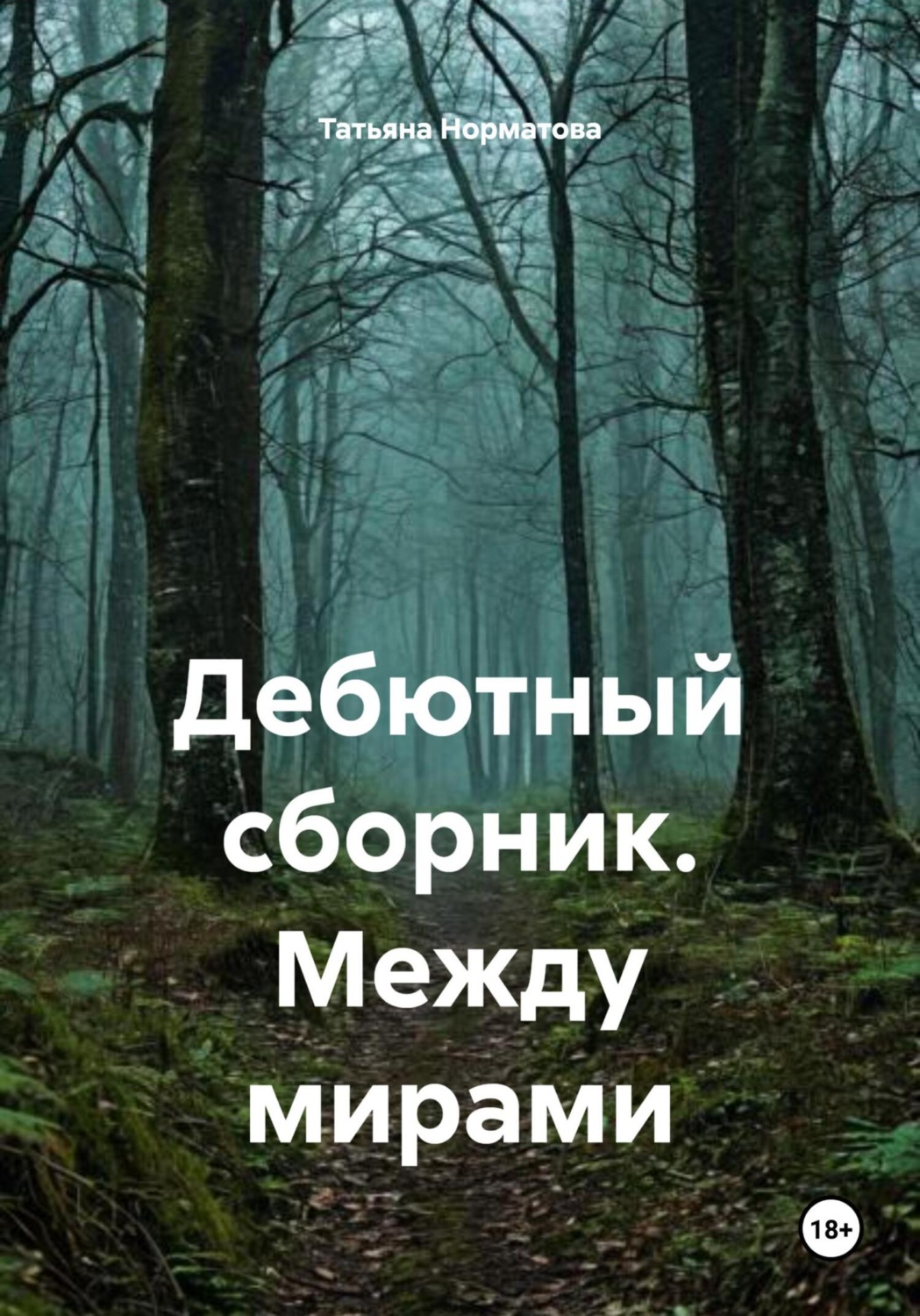Обложка книги «Дебютный сборник. Между мирами»