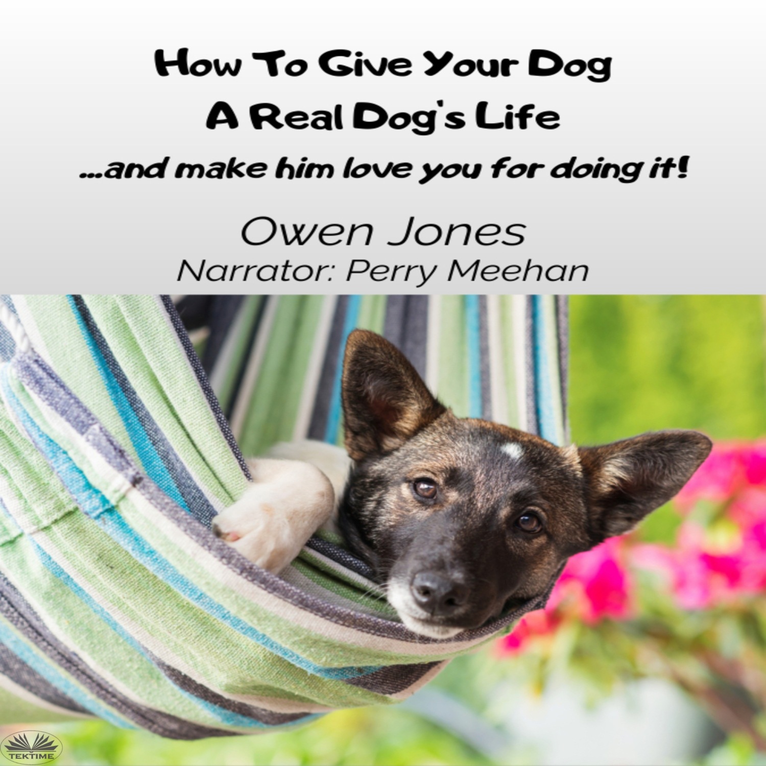 Обложка книги «How To Give Your Dog A Real Dog's Life»