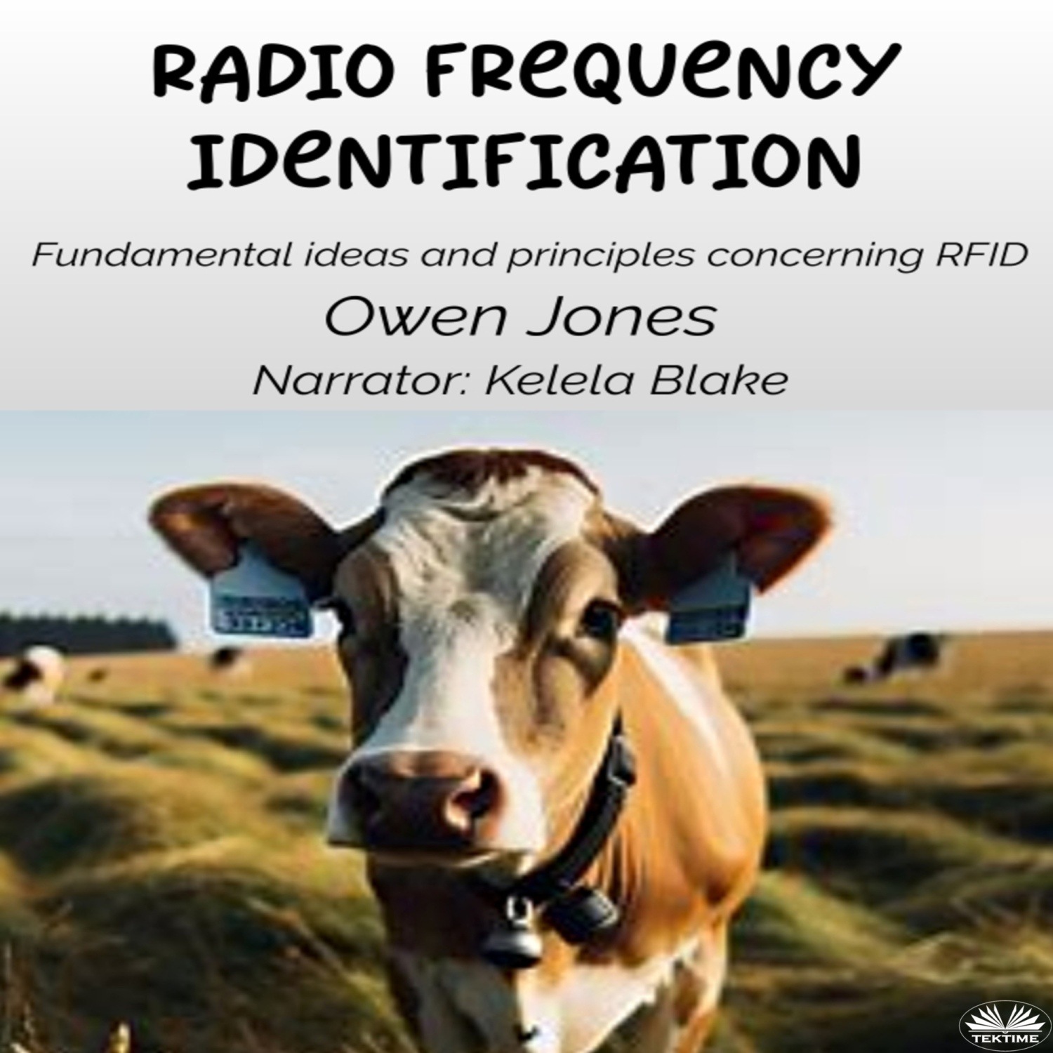 Обложка книги «Radio Frequency Identification»