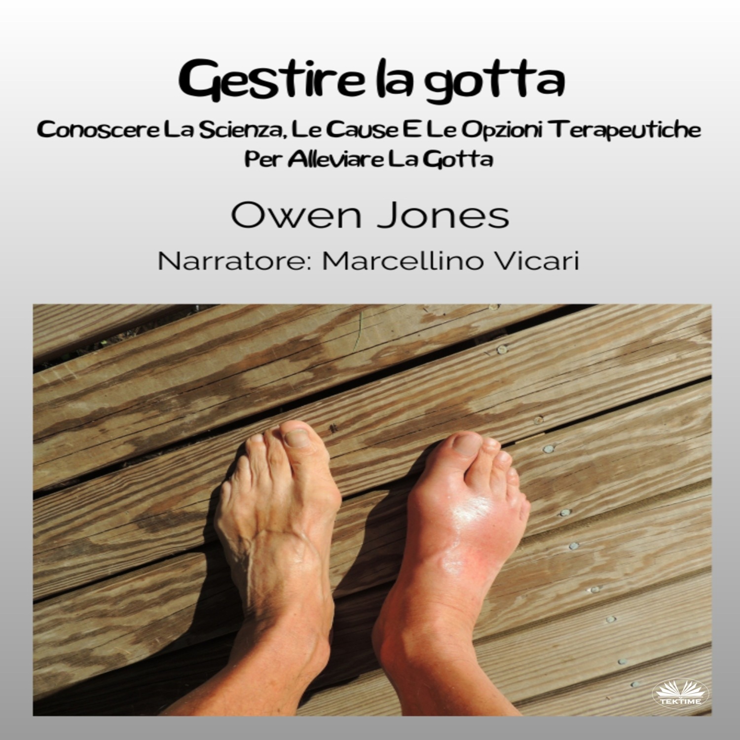 Обложка книги «Gestire La Gotta»