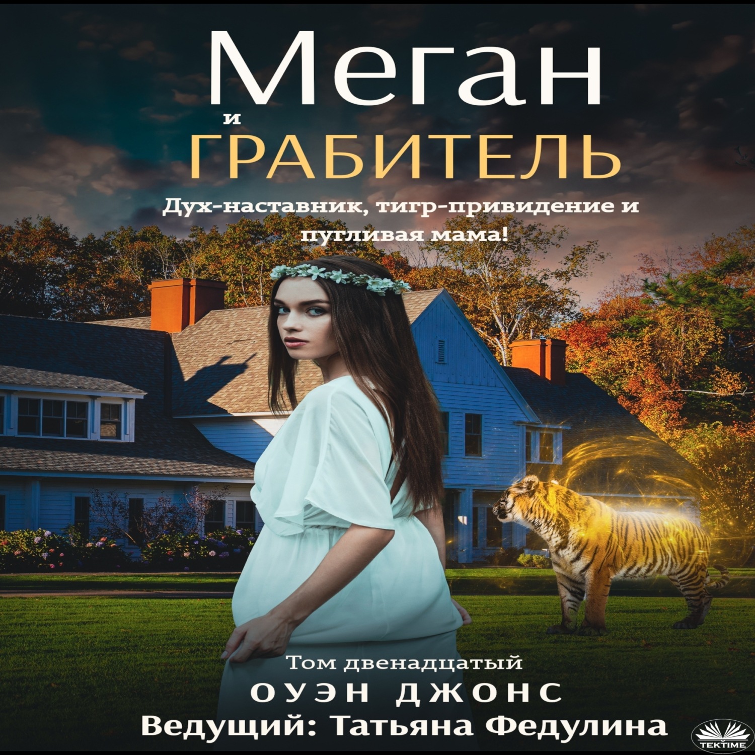 Обложка книги «Меган И Грабитель»
