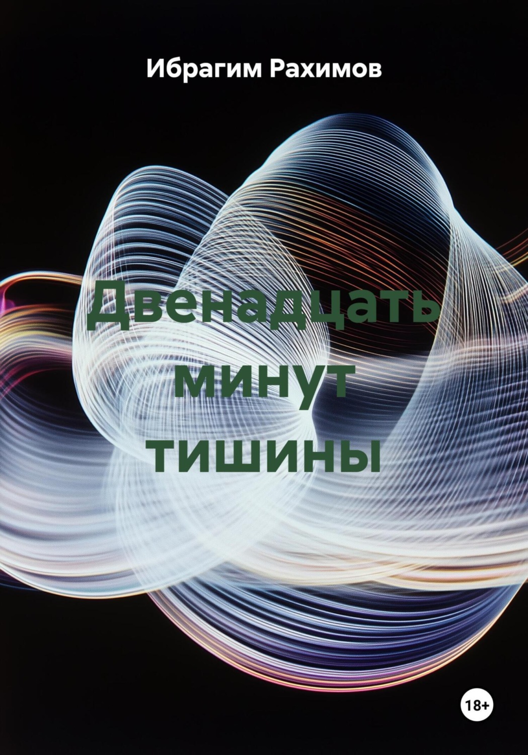 Обложка книги «Двенадцать минут тишины»