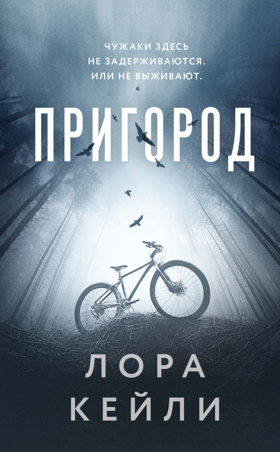 Обложка книги «Пригород»