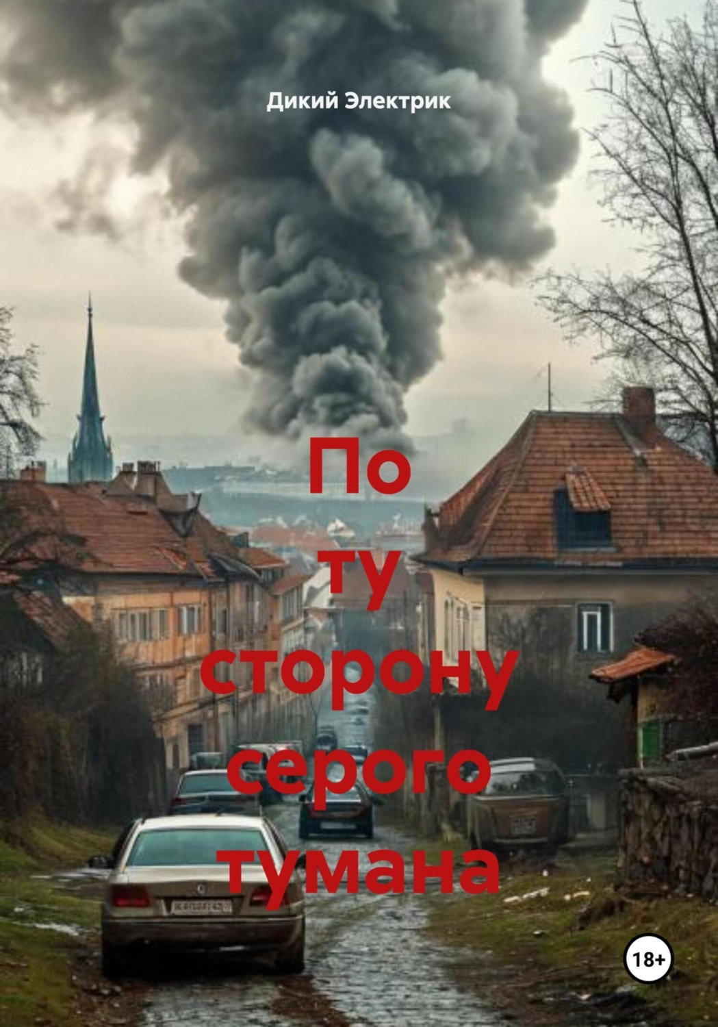 Обложка книги «По ту сторону серого тумана»