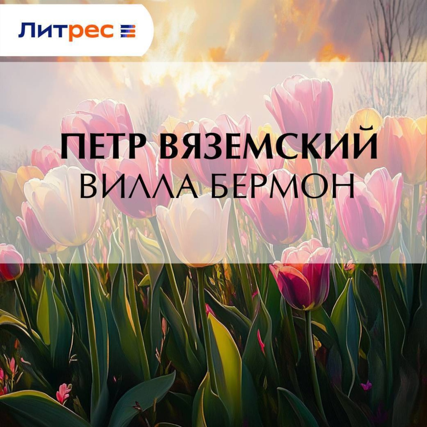 Обложка книги «Вилла Бермон»