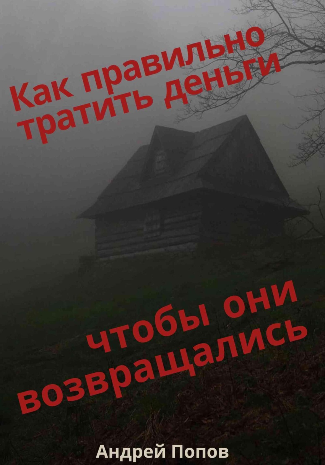Обложка книги «Как правильно тратить деньги чтобы они возвращались»