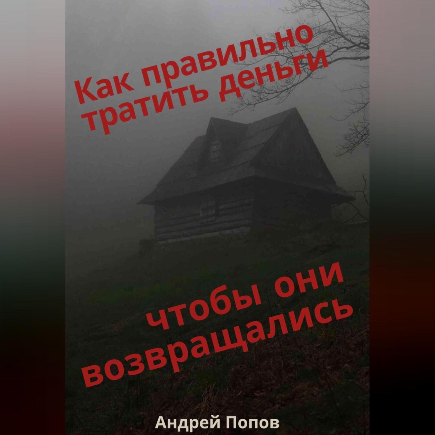 Обложка книги «Как правильно тратить деньги чтобы они возвращались»