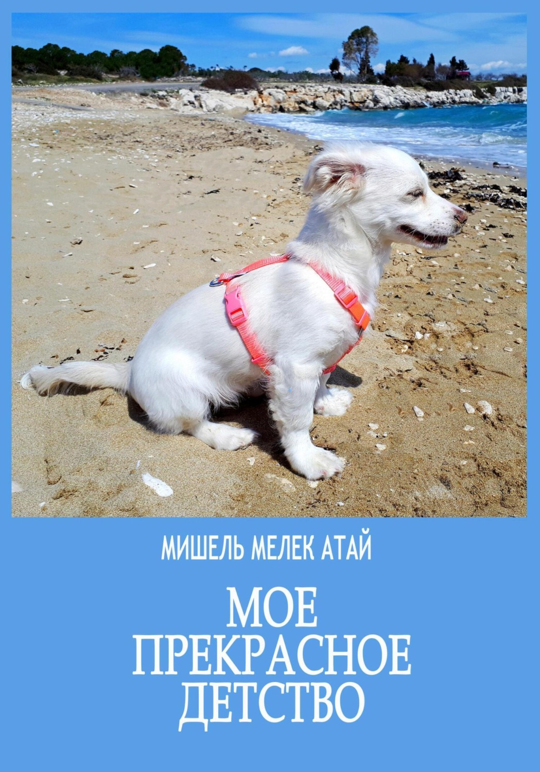 Обложка книги «Мое прекрасное детство»