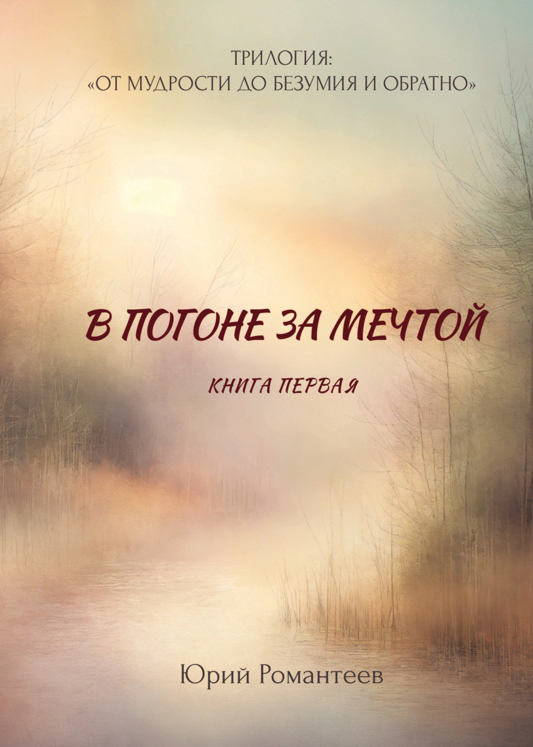 Обложка книги «В погоне за мечтой»
