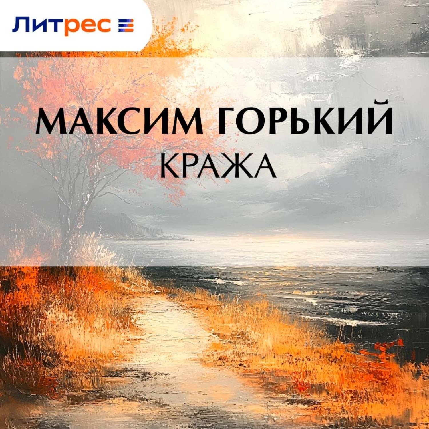 Обложка книги «Кража»