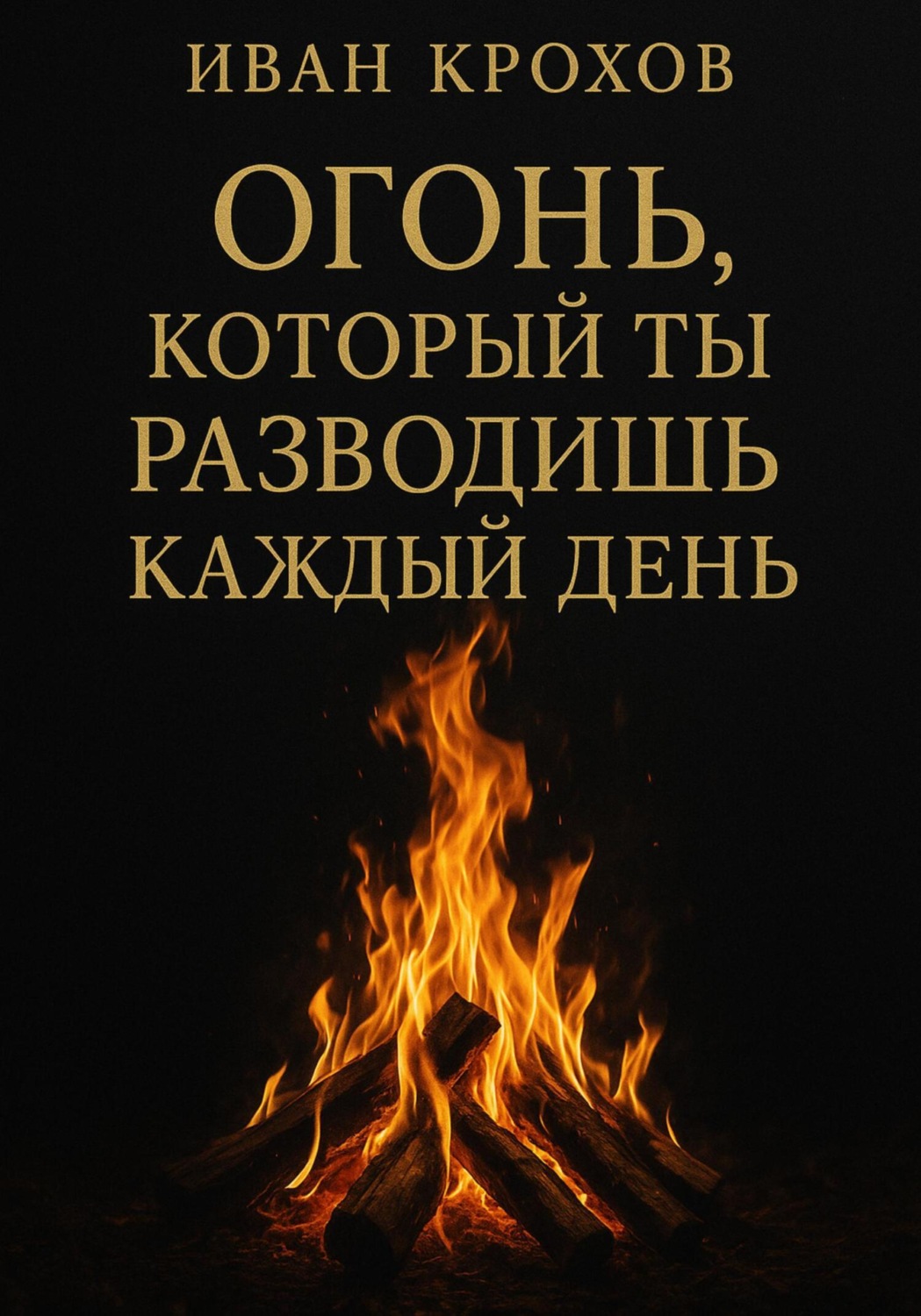 Обложка книги «Огонь, который ты разводишь каждый день»