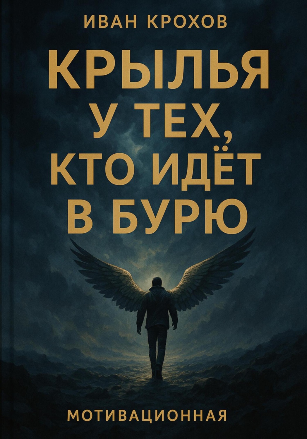 Обложка книги «Крылья у тех, кто идёт в бурю»