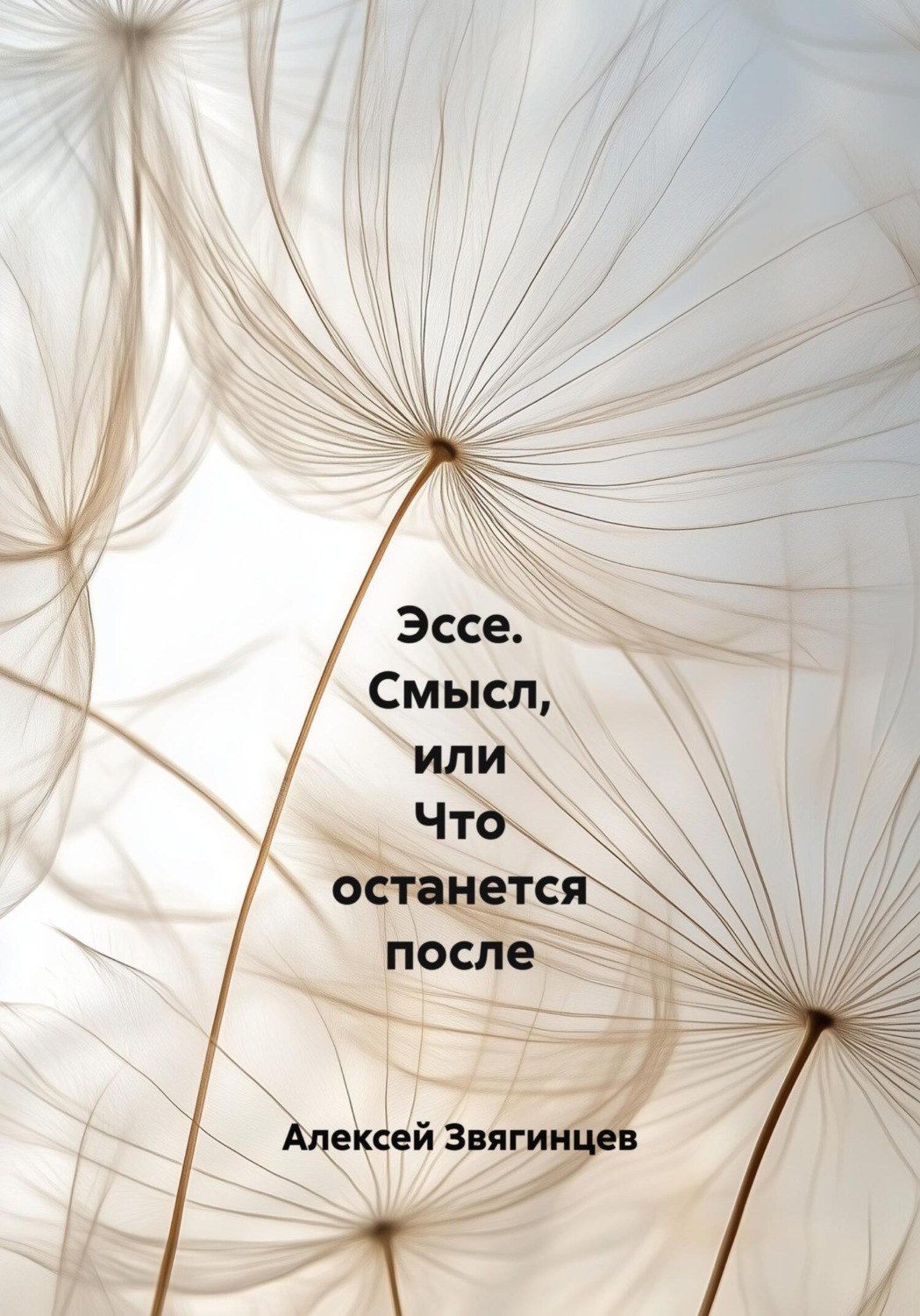 Обложка книги «Эссе. Смысл, или Что останется после»