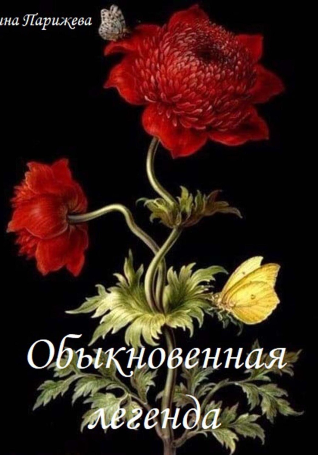 Обложка книги «Обыкновенная легенда»