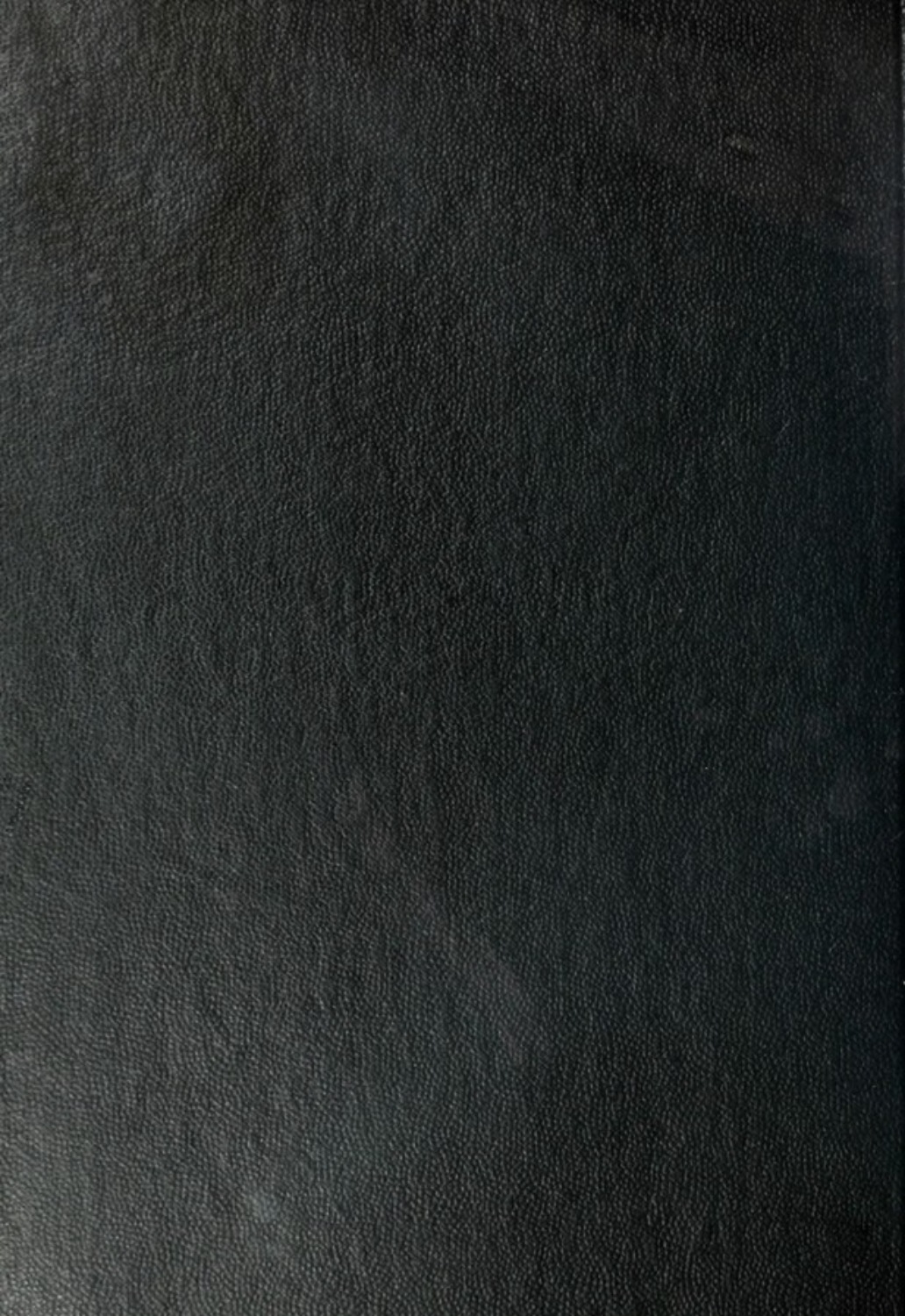 Обложка книги «Gülistän serih»