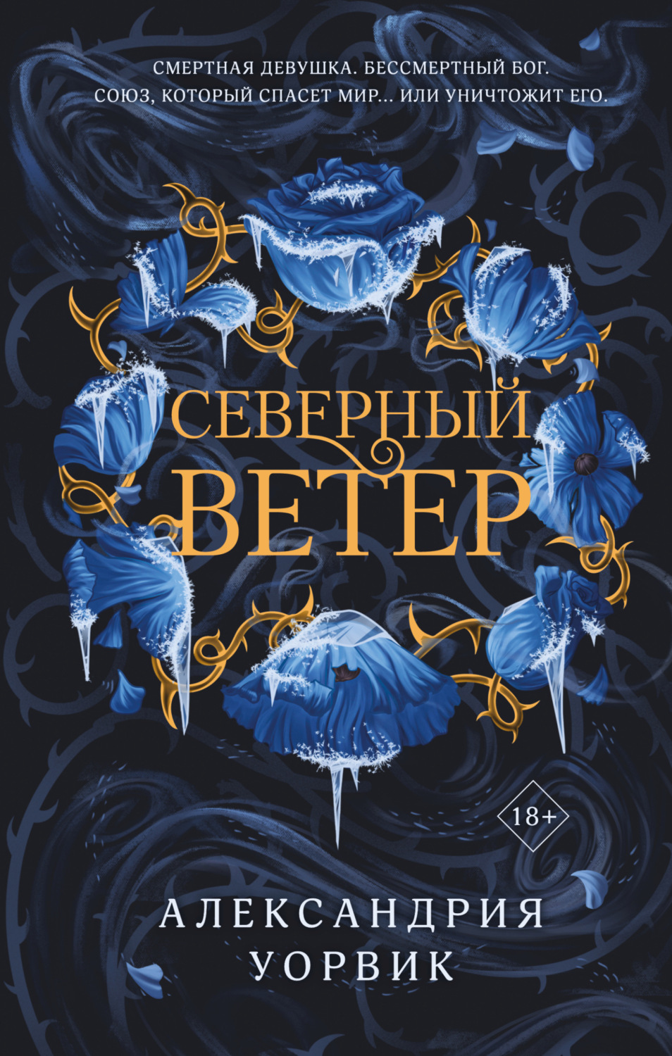 Обложка книги «Северный ветер»