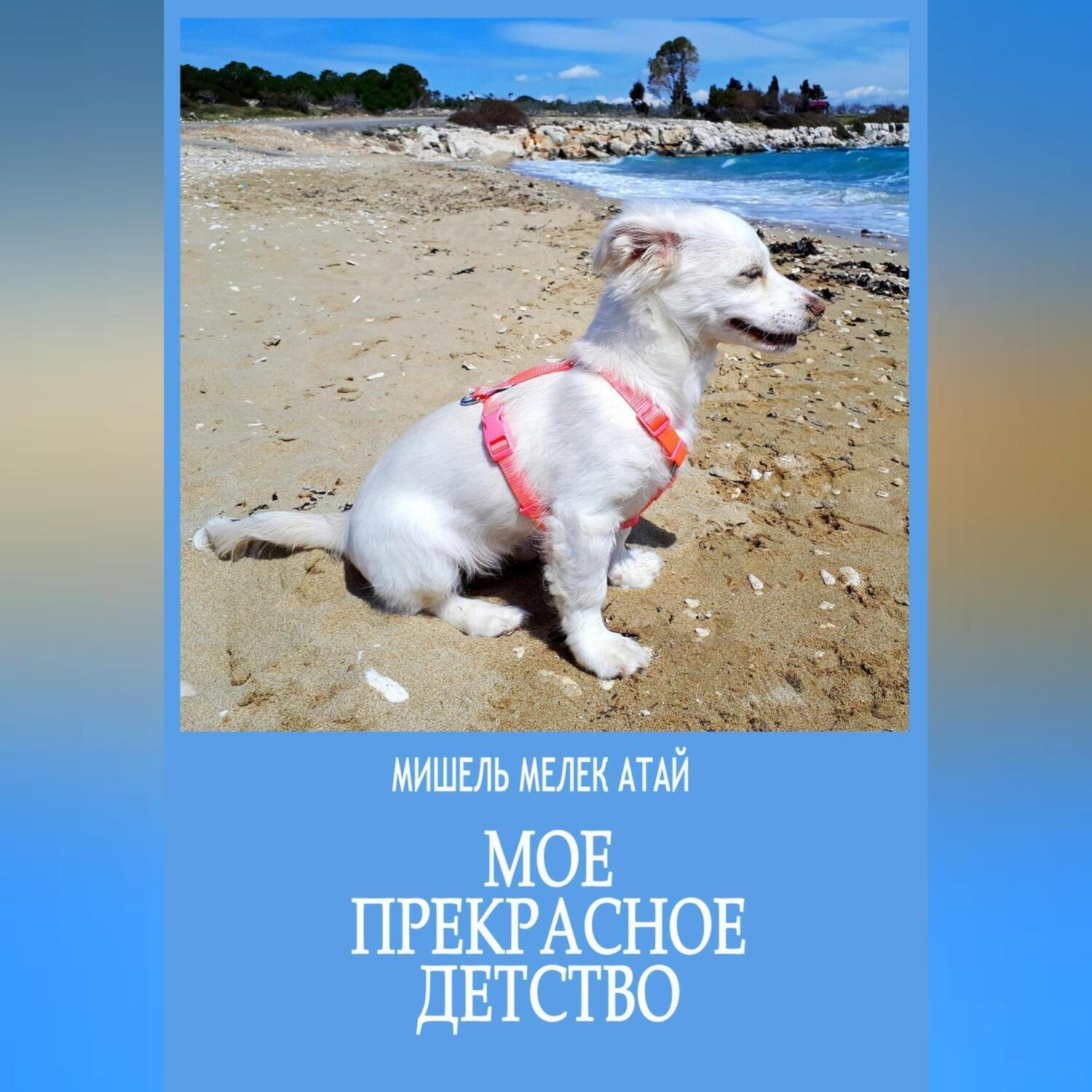 Обложка книги «Мое прекрасное детство»