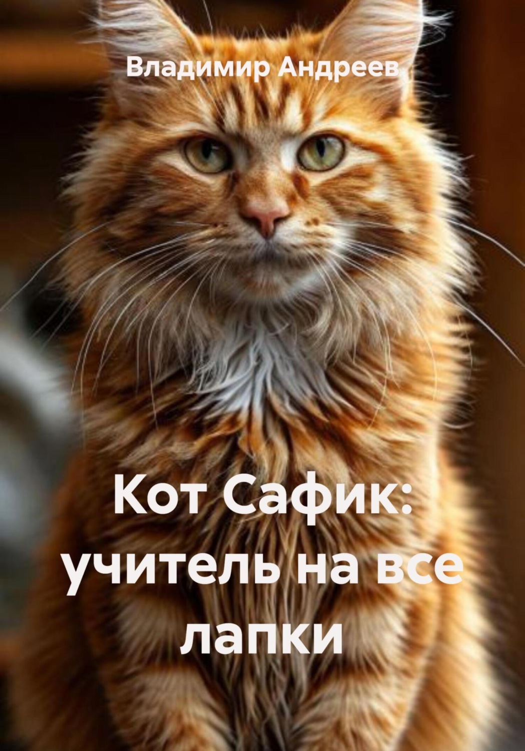 Обложка книги «Кот Сафик: учитель на все лапки»