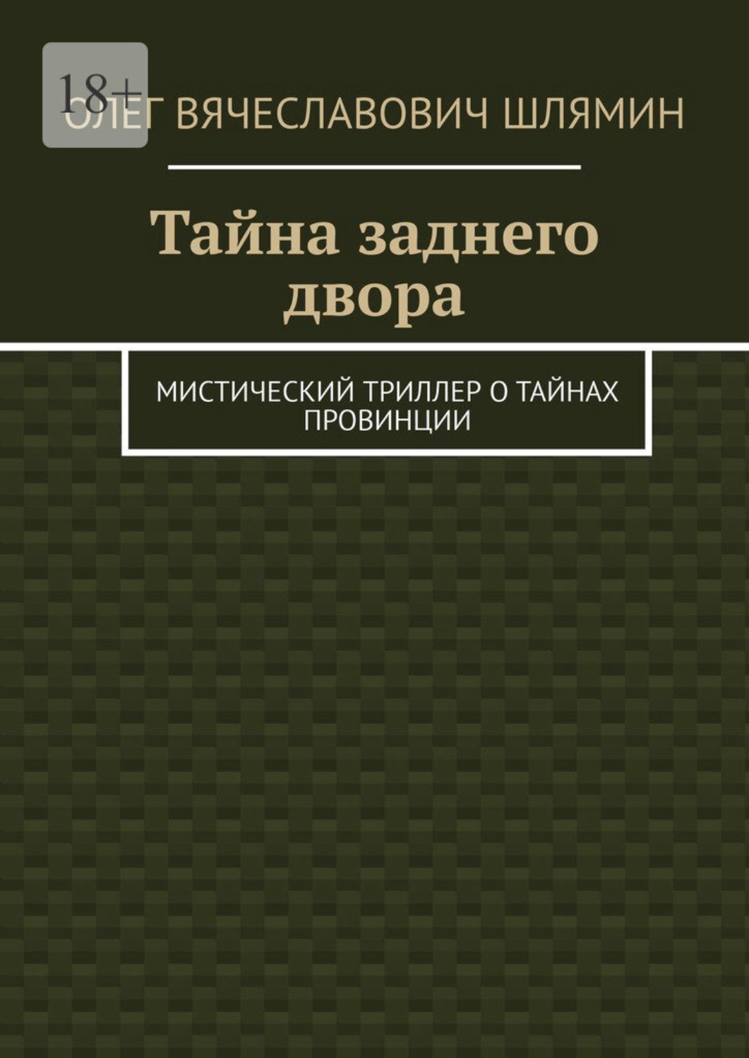 Обложка книги «Тайна заднего двора. Мистический триллер о тайнах провинции»