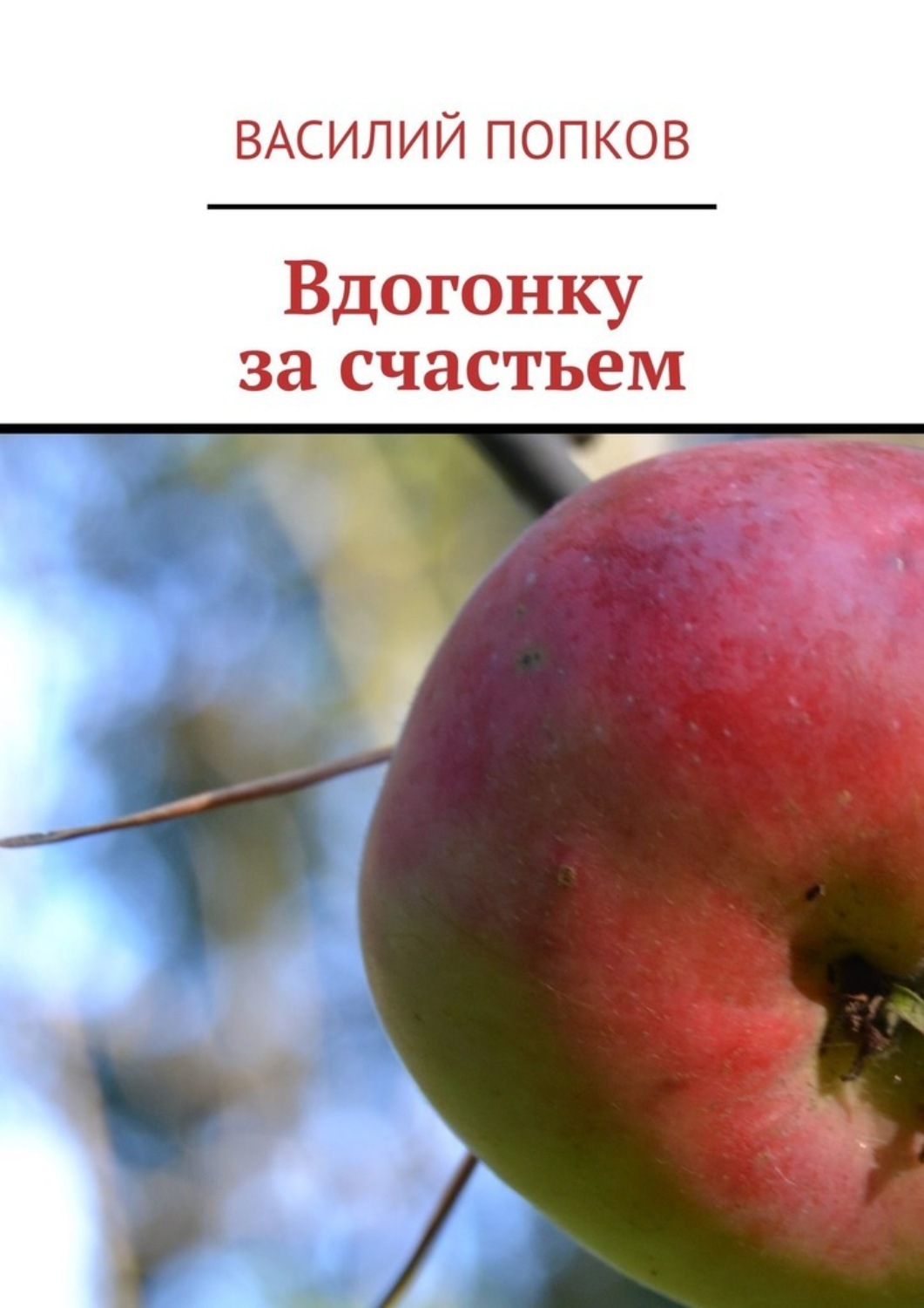 Обложка книги «Вдогонку за счастьем»