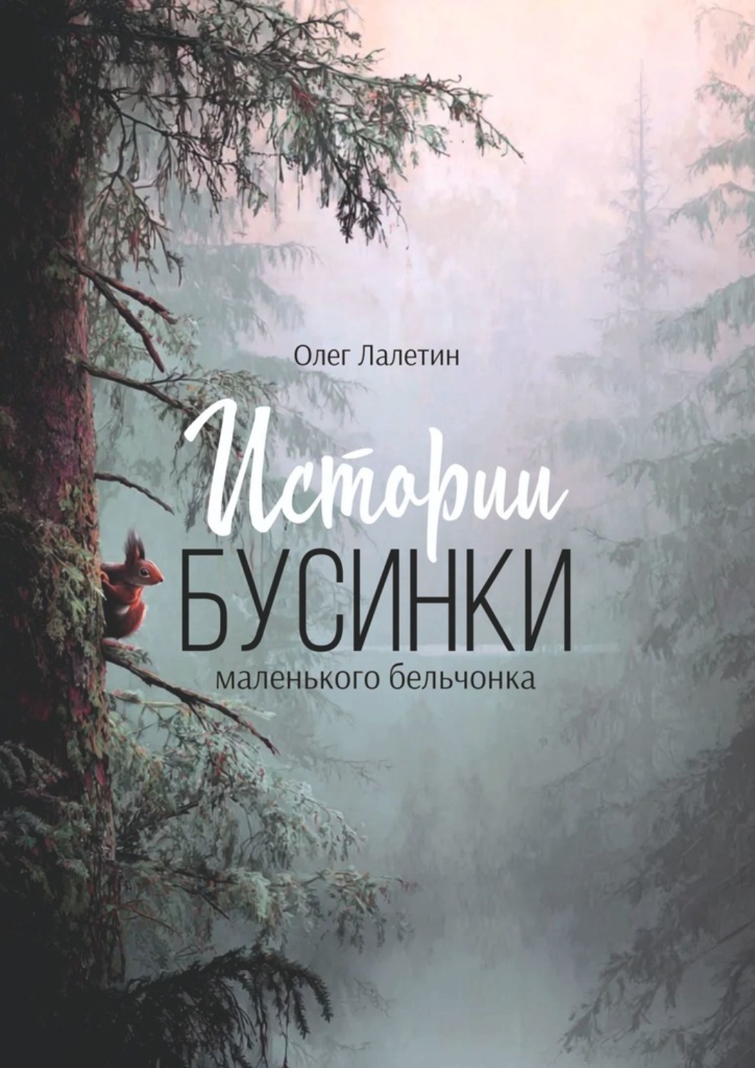 Обложка книги «Истории Бусинки. Маленького бельчонка»