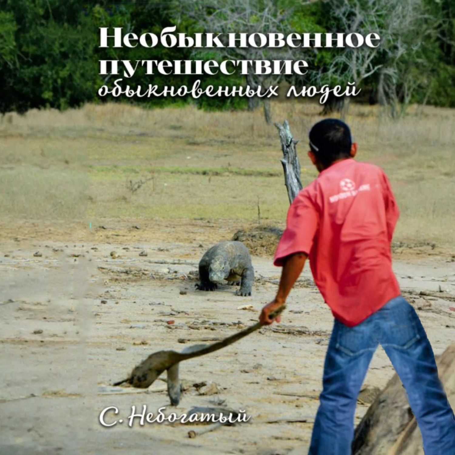 Обложка книги «Необыкновенное путешествие обыкновенных людей»
