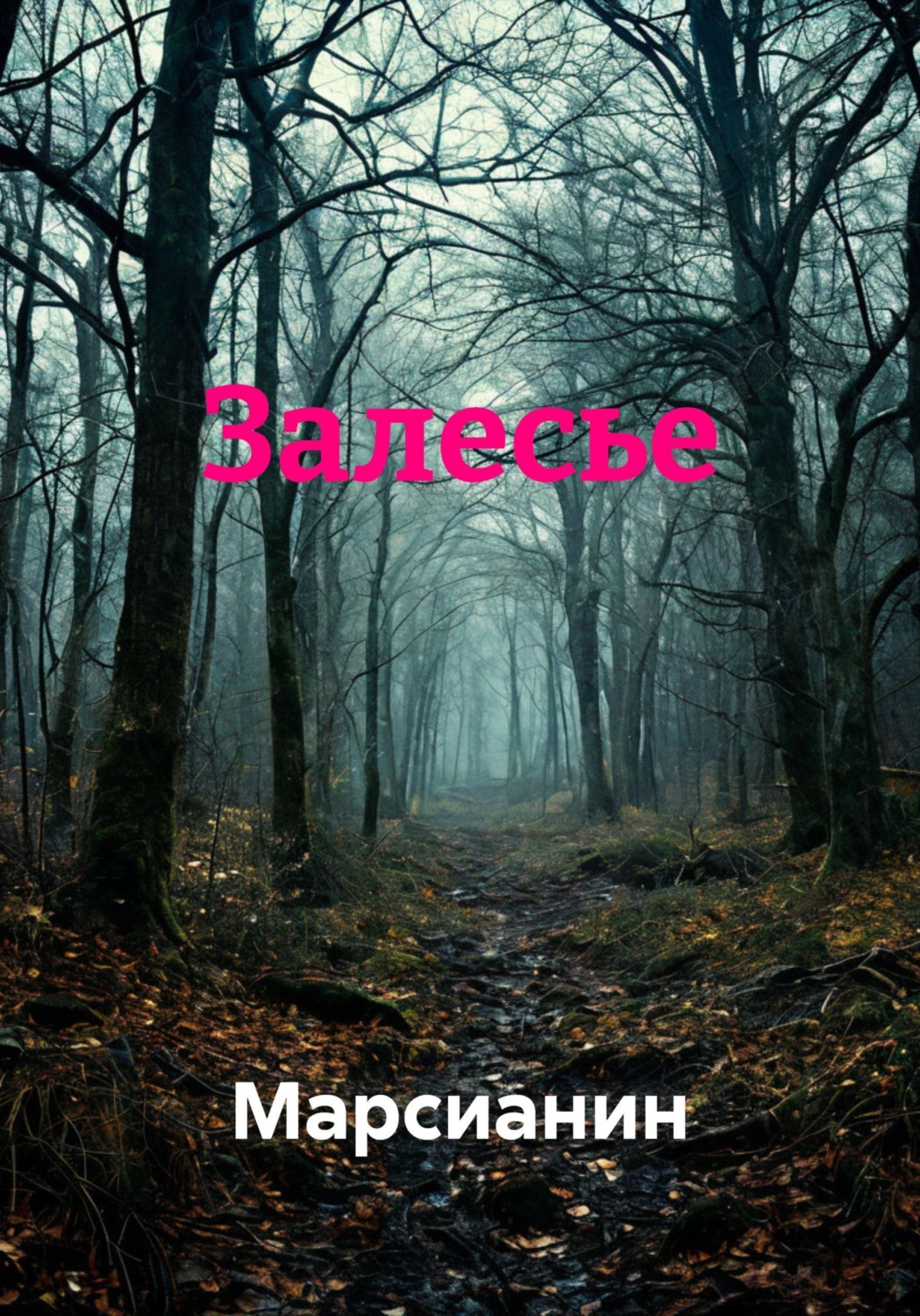 Обложка книги «Залесье»