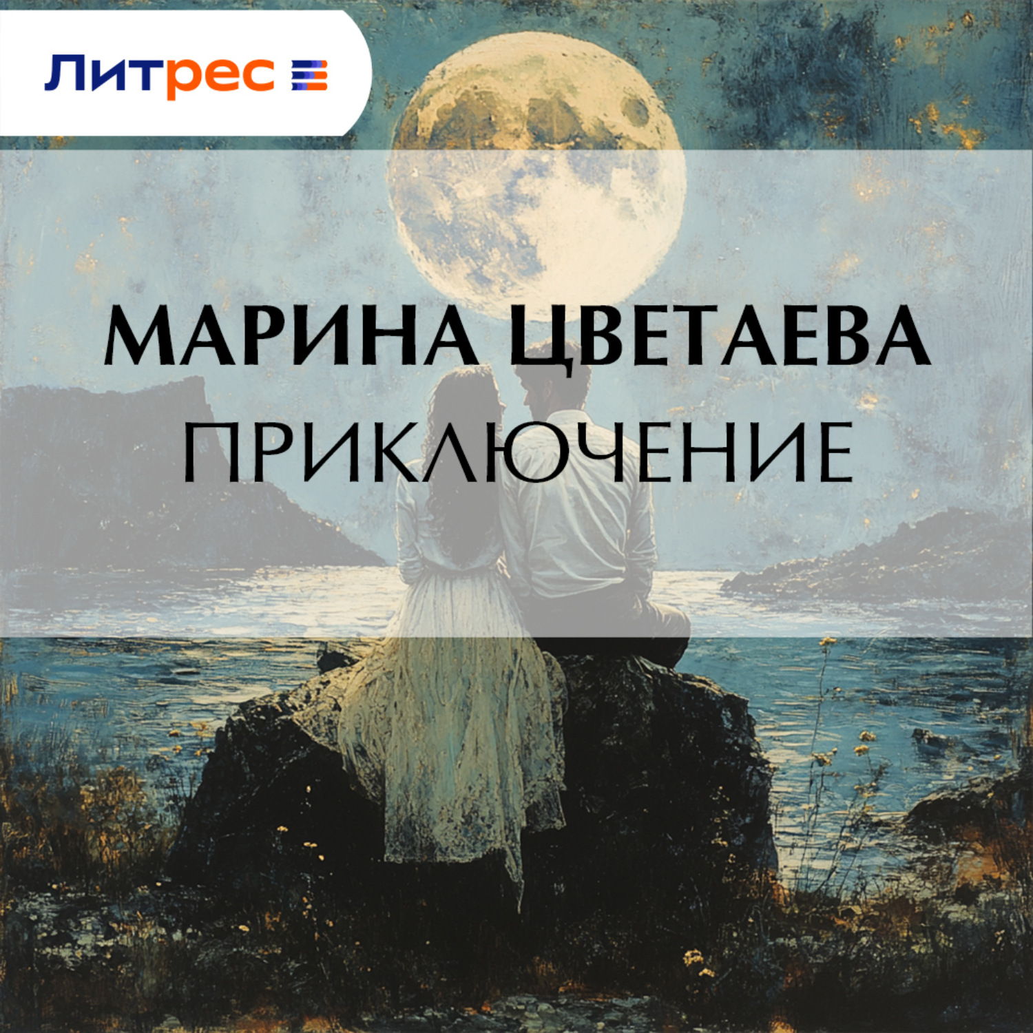 Обложка книги «Приключение»