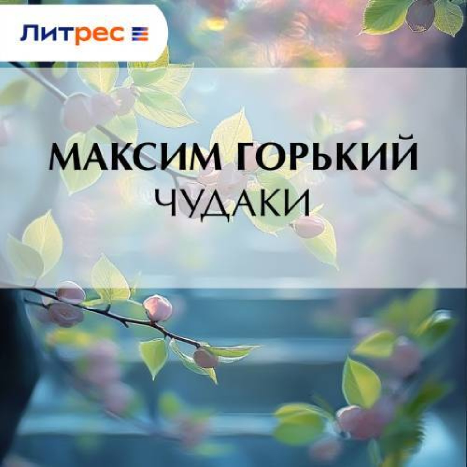 Обложка книги «Чудаки»