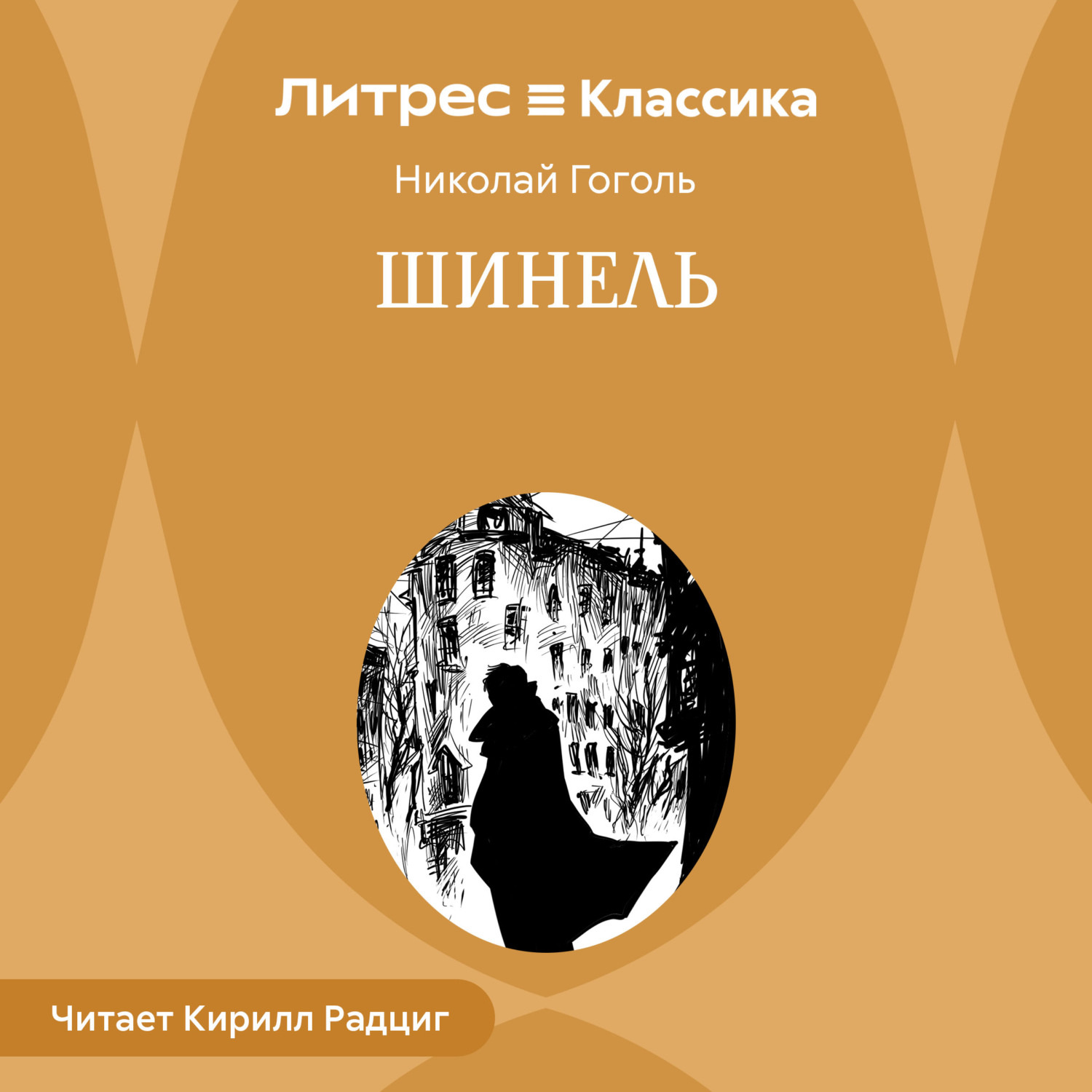 Обложка книги «Шинель»