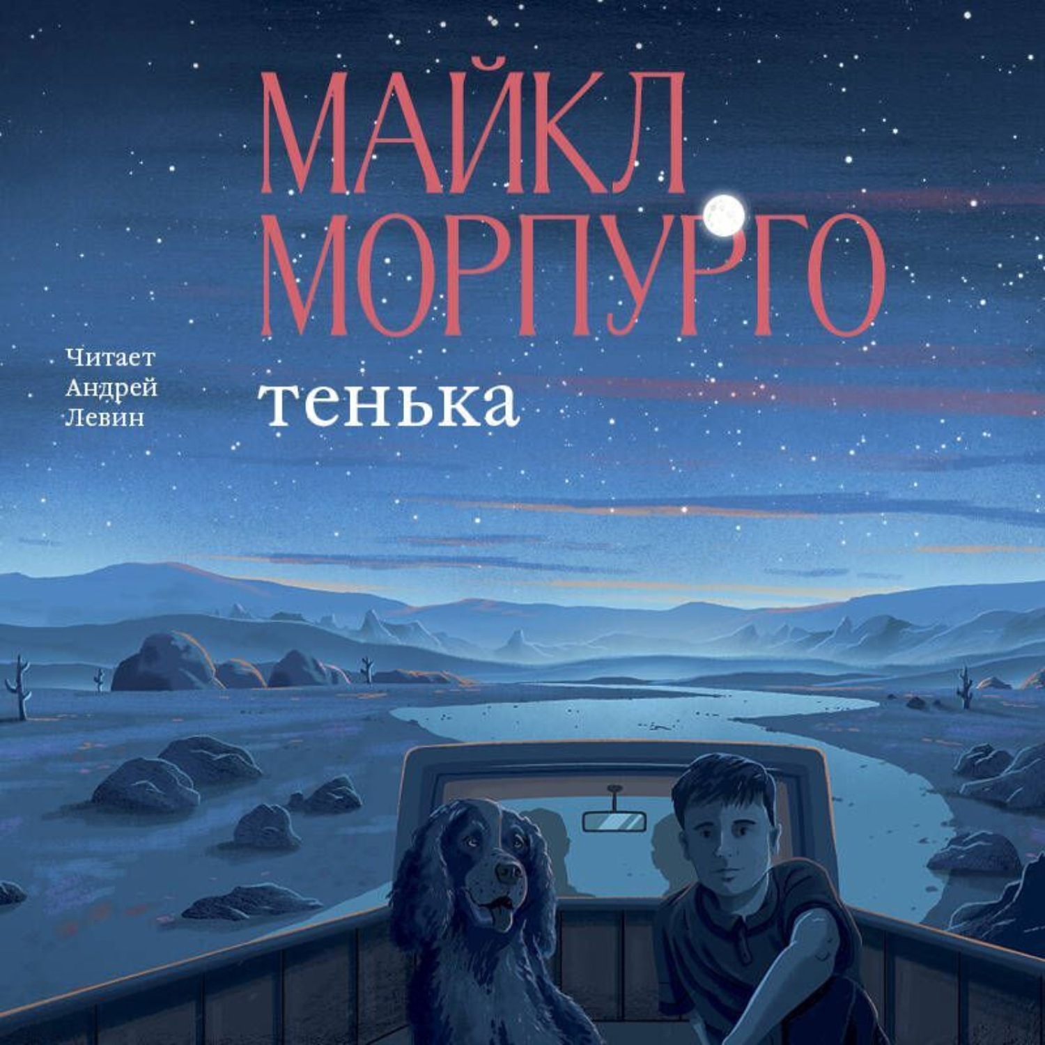 Обложка книги «Тенька»