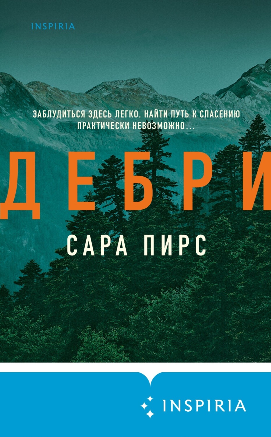 Обложка книги «Дебри»