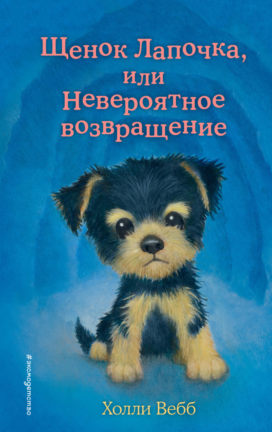 Обложка книги «Щенок Лапочка, или Невероятное возвращение»