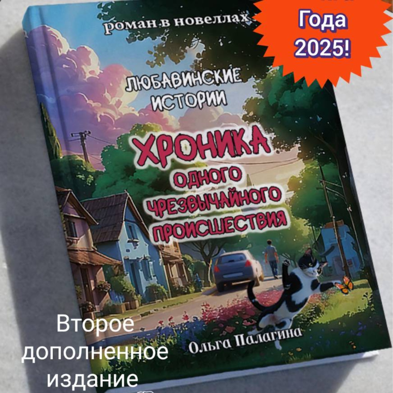 Обложка книги «Любавинские истории. Хроника одного чрезвычайного происшествия. Книга года 2025 второе дополненное издание»