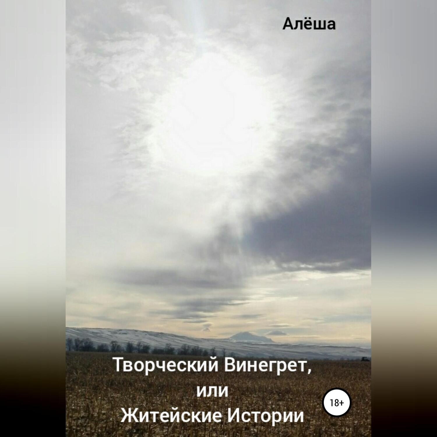 Обложка книги «Творческий винегрет, или Житейские истории»