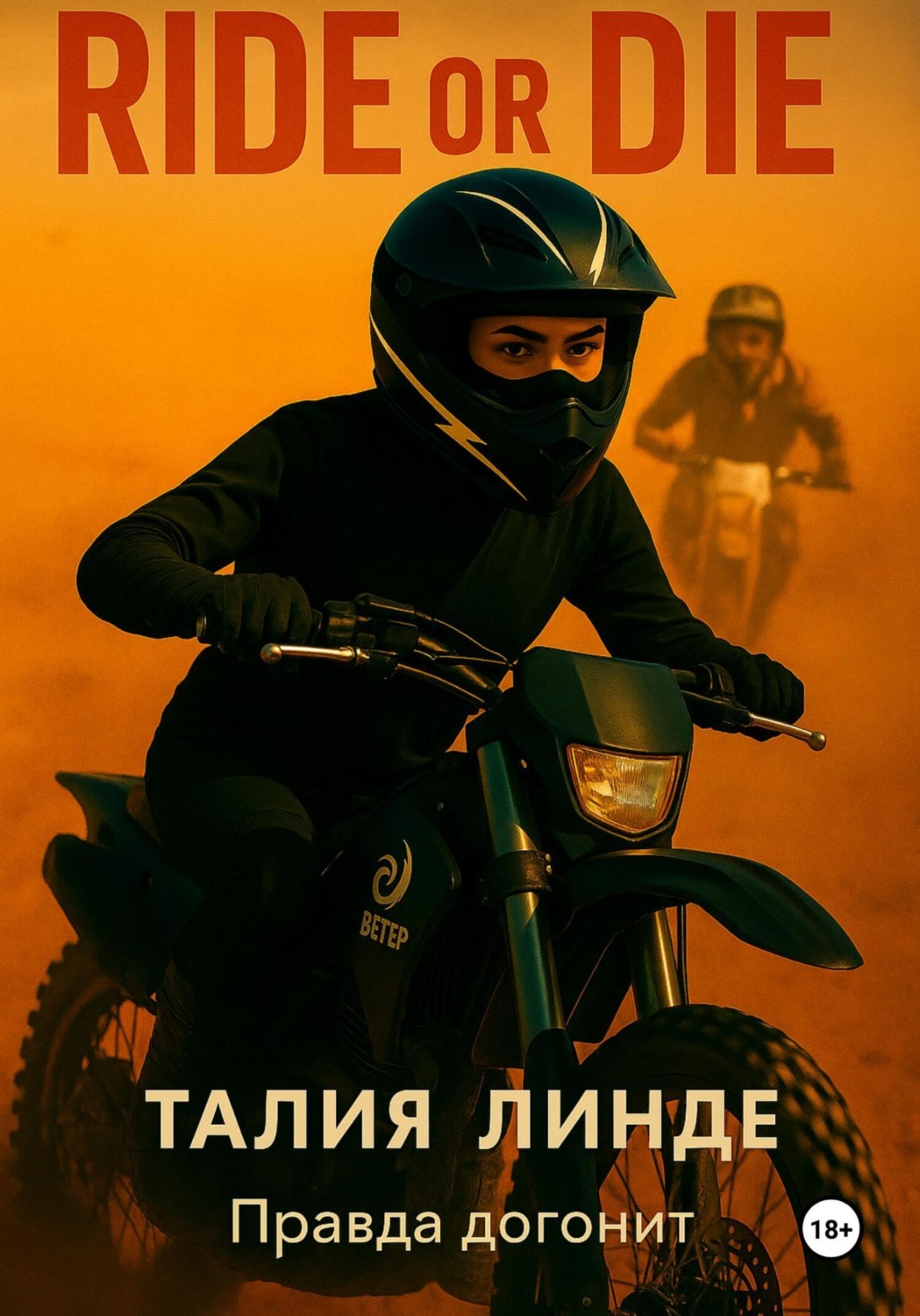 Обложка книги «Ride or Die»