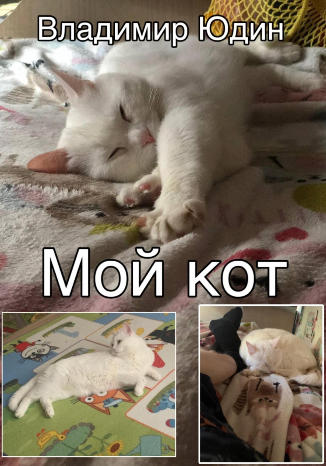 Обложка книги «Мой кот»