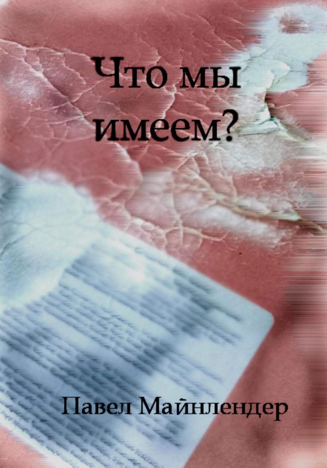 Обложка книги «Что мы имеем?»