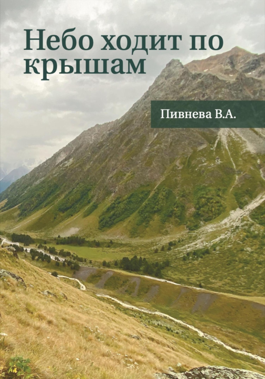 Обложка книги «Небо ходит по крышам»